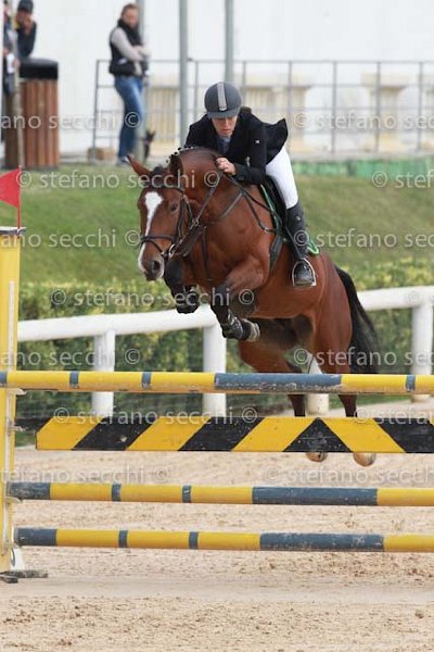 CONTUCCI_WALLABY_GIO CAV 2011_SS3_8351.jpg